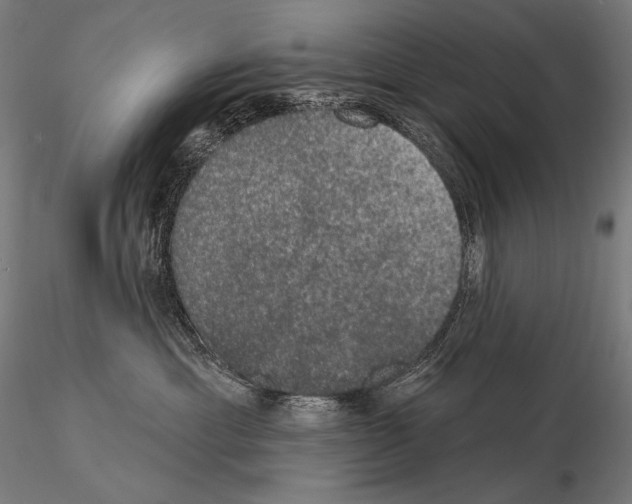 X0000115070429200912081152