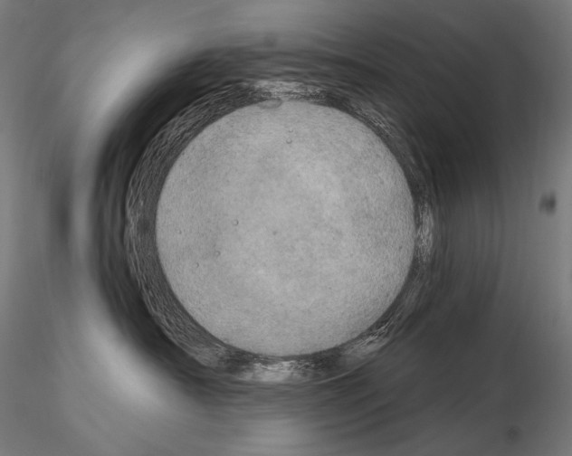 X0000115070430200912081152