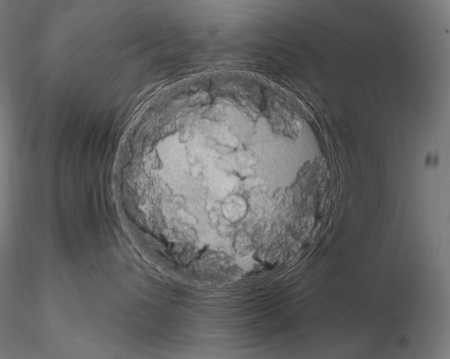X0000115070432200912081152