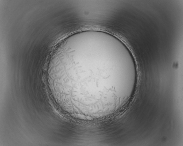 X0000115070433200912081151