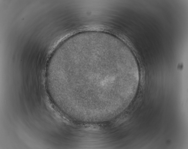 X0000115070434200912081151