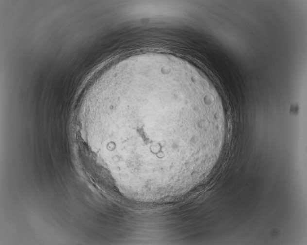 X0000115070435200912081151