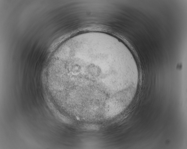 X0000115070437200912081151