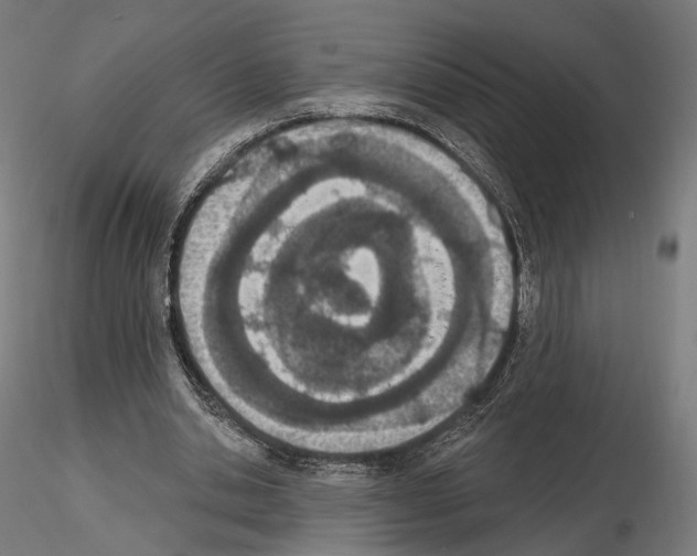 X0000115070438200912081151