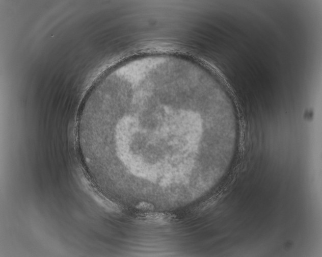 X0000115070439200912081151