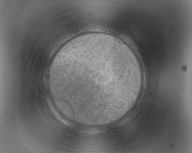 X0000115070441200912081151