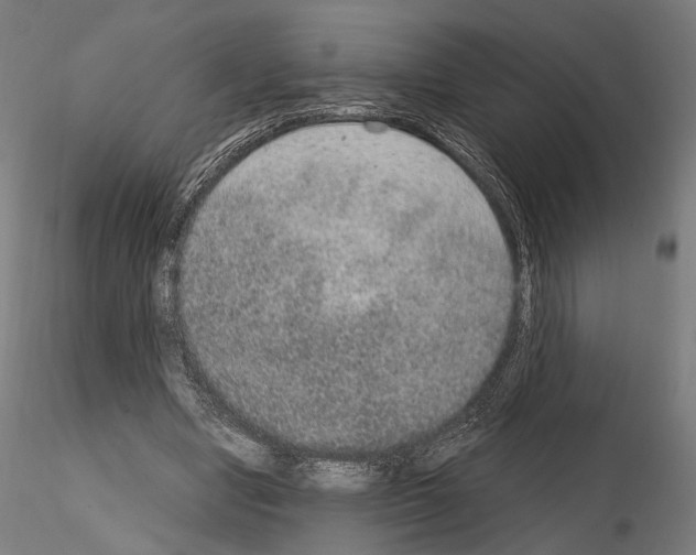 X0000115070442200912081151