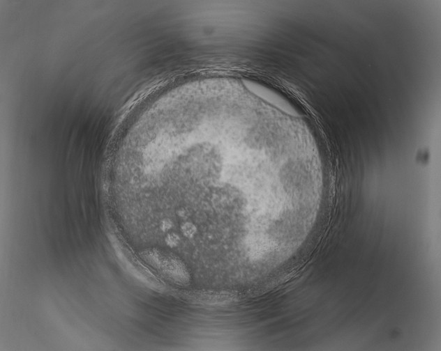 X0000115070443200912081151