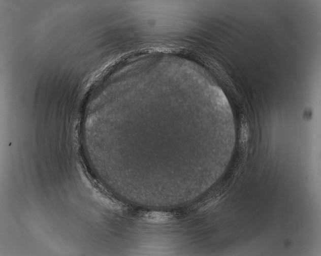 X0000115070444200912081151