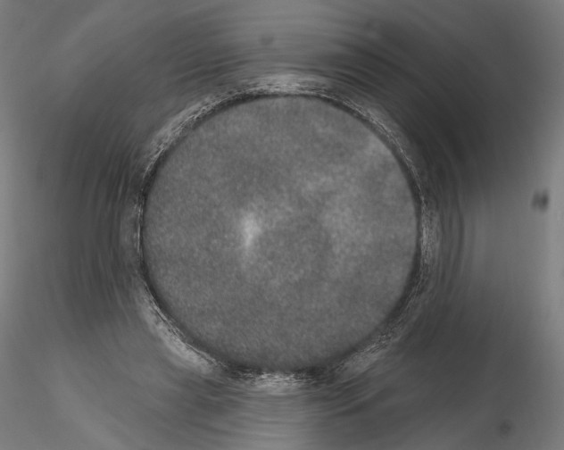 X0000115070445200912081151