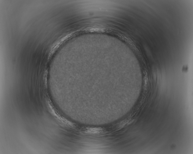X0000115070446200912081151