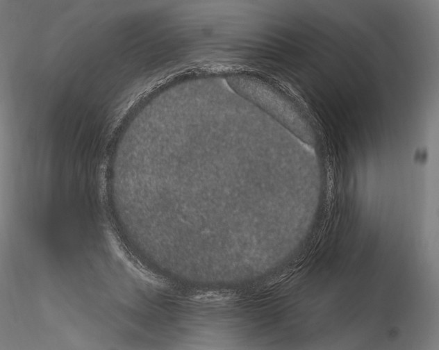 X0000115070447200912081151