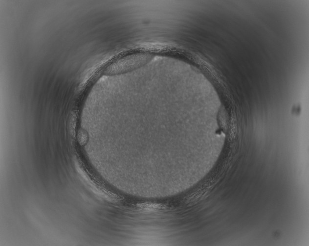X0000115070448200912081151