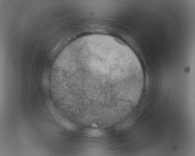 X0000115070449200912081152