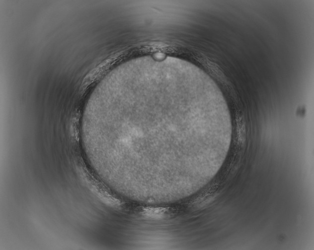 X0000115070450200912081152