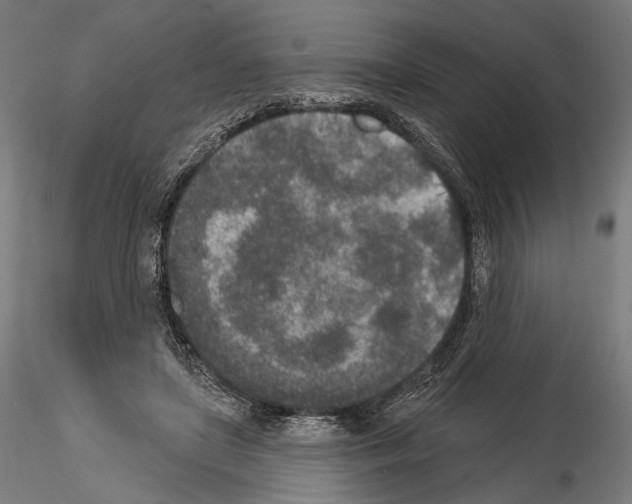 X0000115070451200912081152