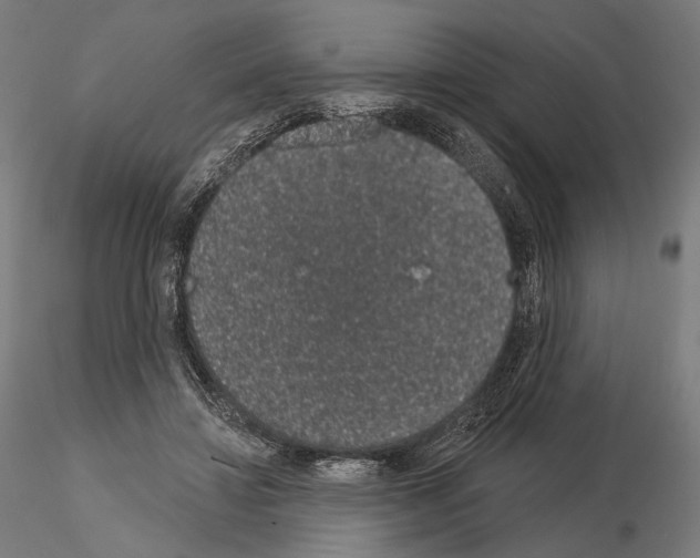 X0000115070452200912081152