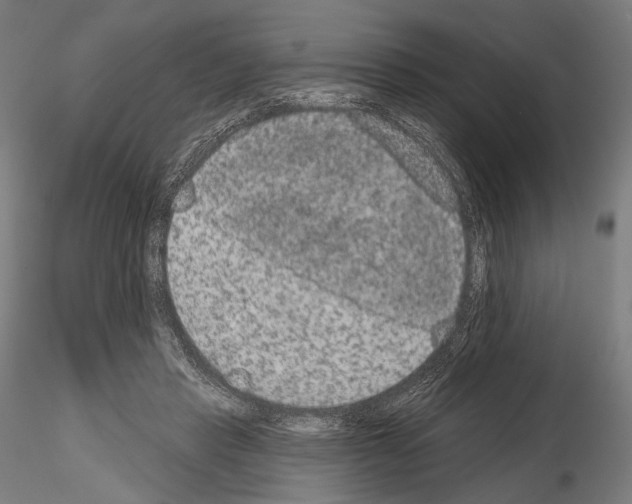 X0000115070453200912081152