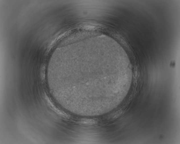 X0000115070454200912081152