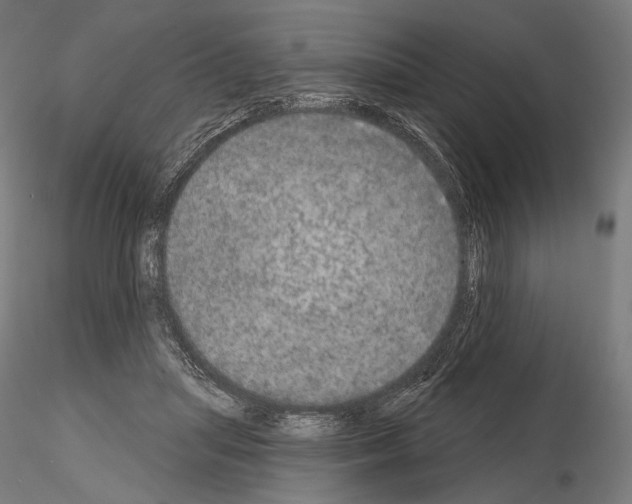 X0000115070455200912081152