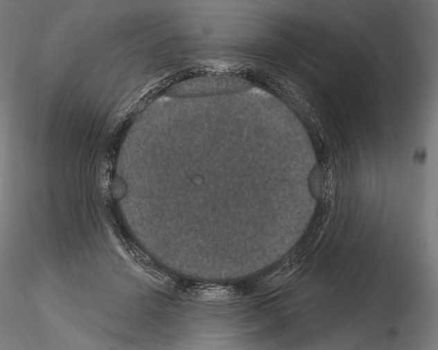 X0000115070456200912081152