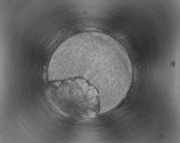 X0000115070457200912081152