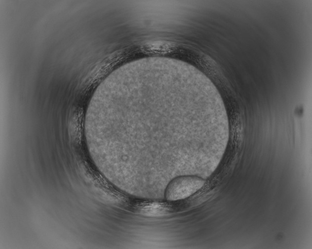 X0000115070460200912081152