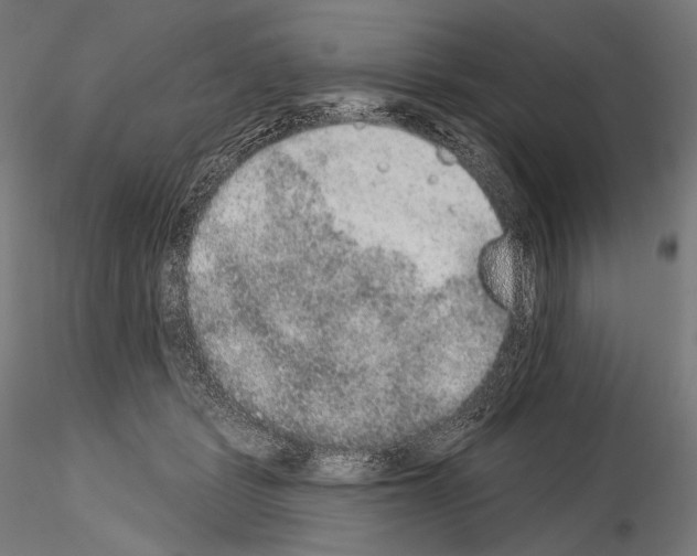 X0000115070461200912081152