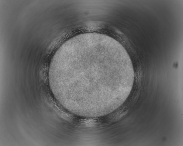 X0000115070462200912081152
