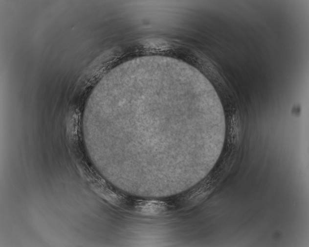 X0000115070463200912081152