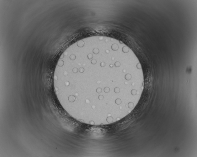 X0000115070464200912081152
