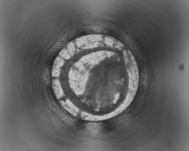 X0000115070465200912081152