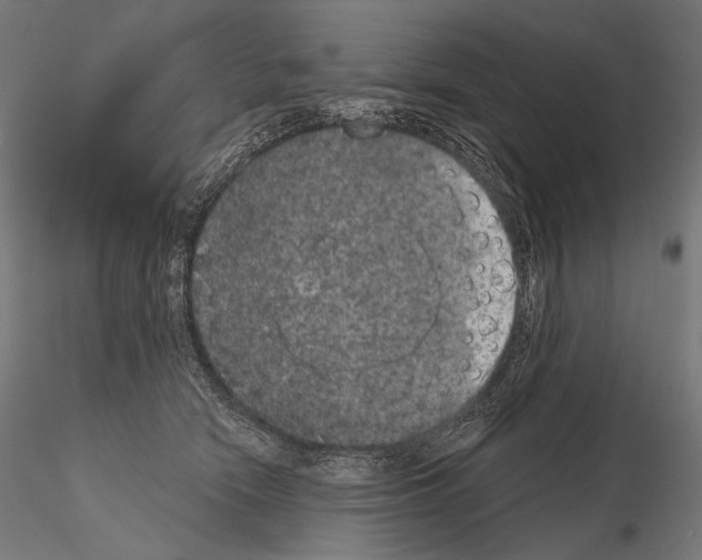 X0000115070466200912081152