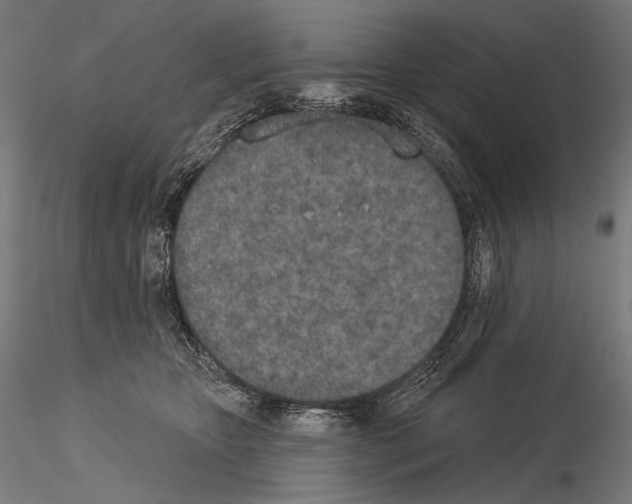 X0000115070467200912081152
