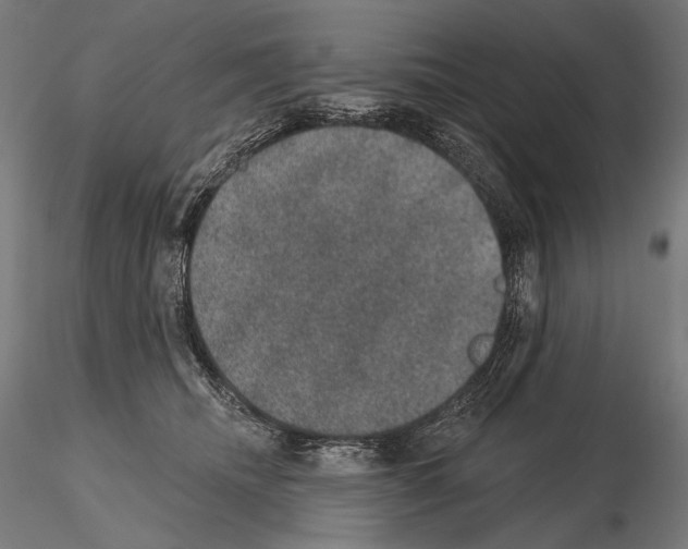 X0000115070468200912081152