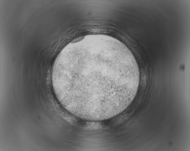 X0000115070469200912081152
