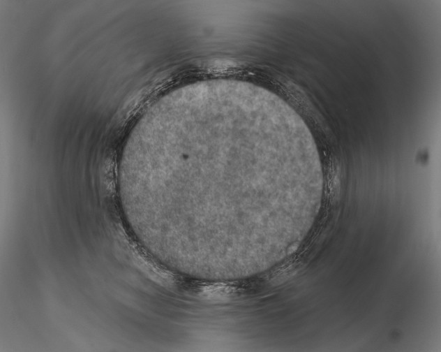 X0000115070470200912081152