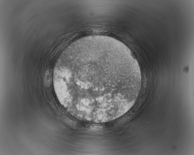 X0000115070471200912081152
