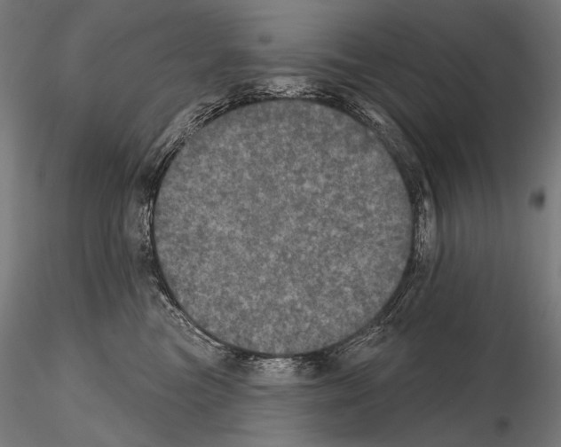 X0000115070473200912081152