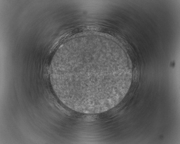 X0000115070474200912081152