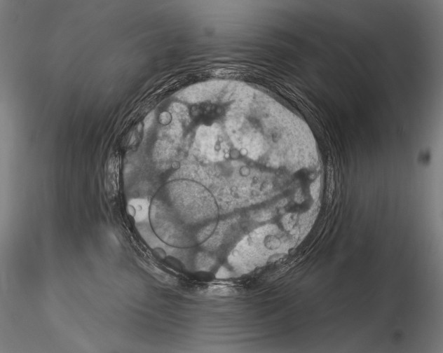 X0000115070475200912081152