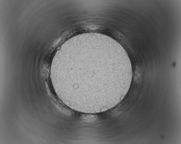 X0000115070476200912081152