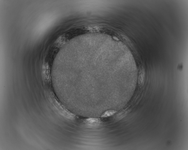 X0000115070477200912081152