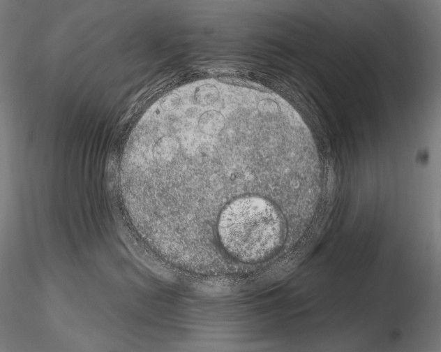 X0000115070478200912081152