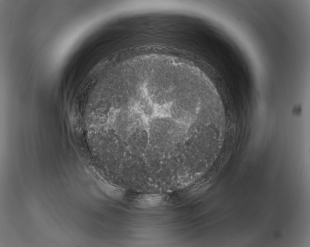X0000115070479200912081152