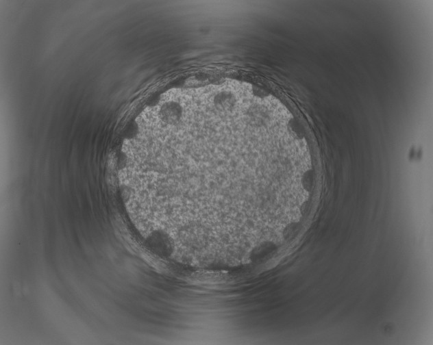 X0000115070480200912081152