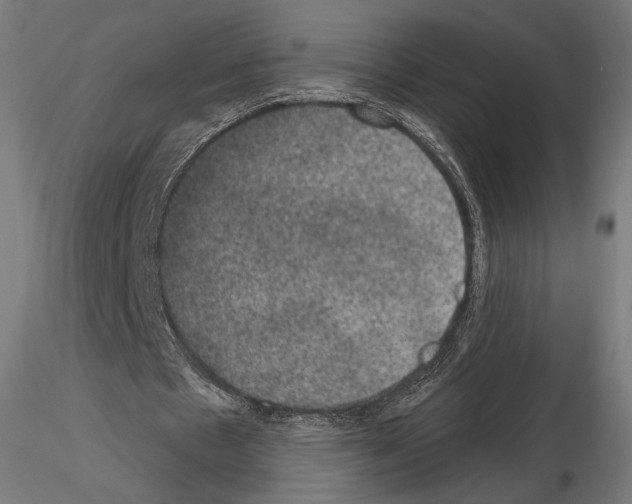 X0000115070481200912081151