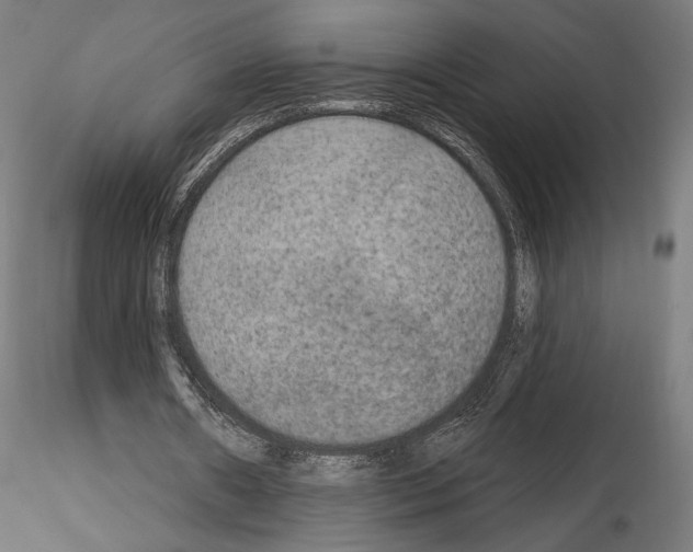 X0000115070482200912081151