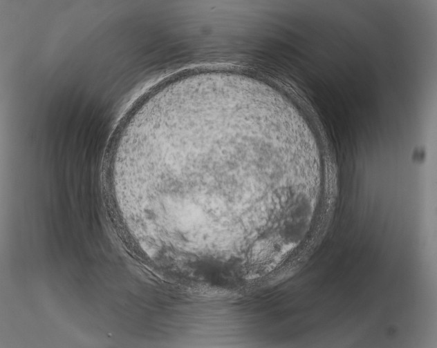 X0000115070483200912081151