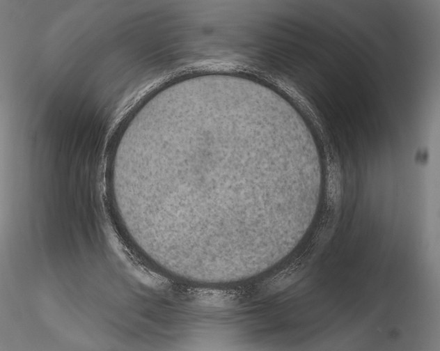 X0000115070486200912081151